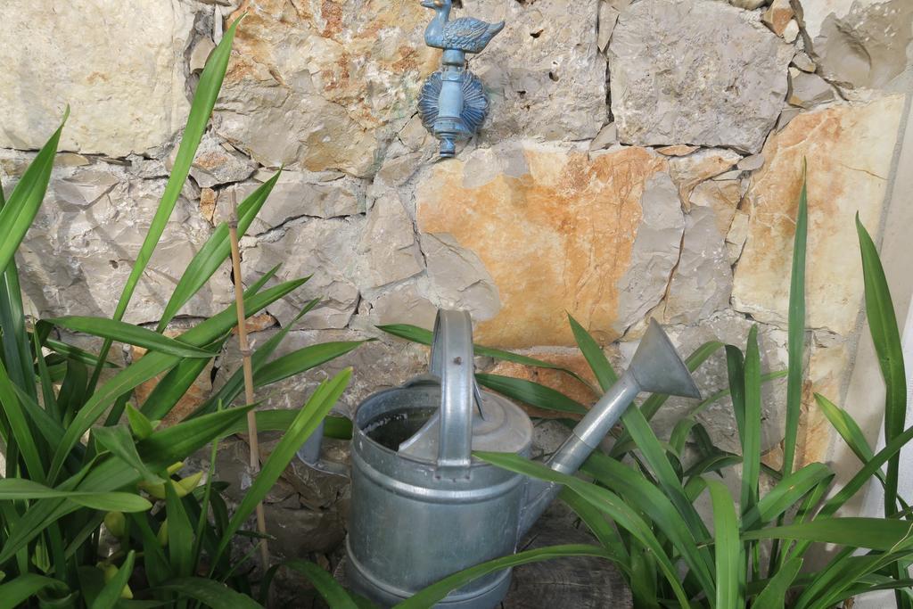 Noz Por Cá... Turismo Em Espaco Rural Alcaria  Exterior foto